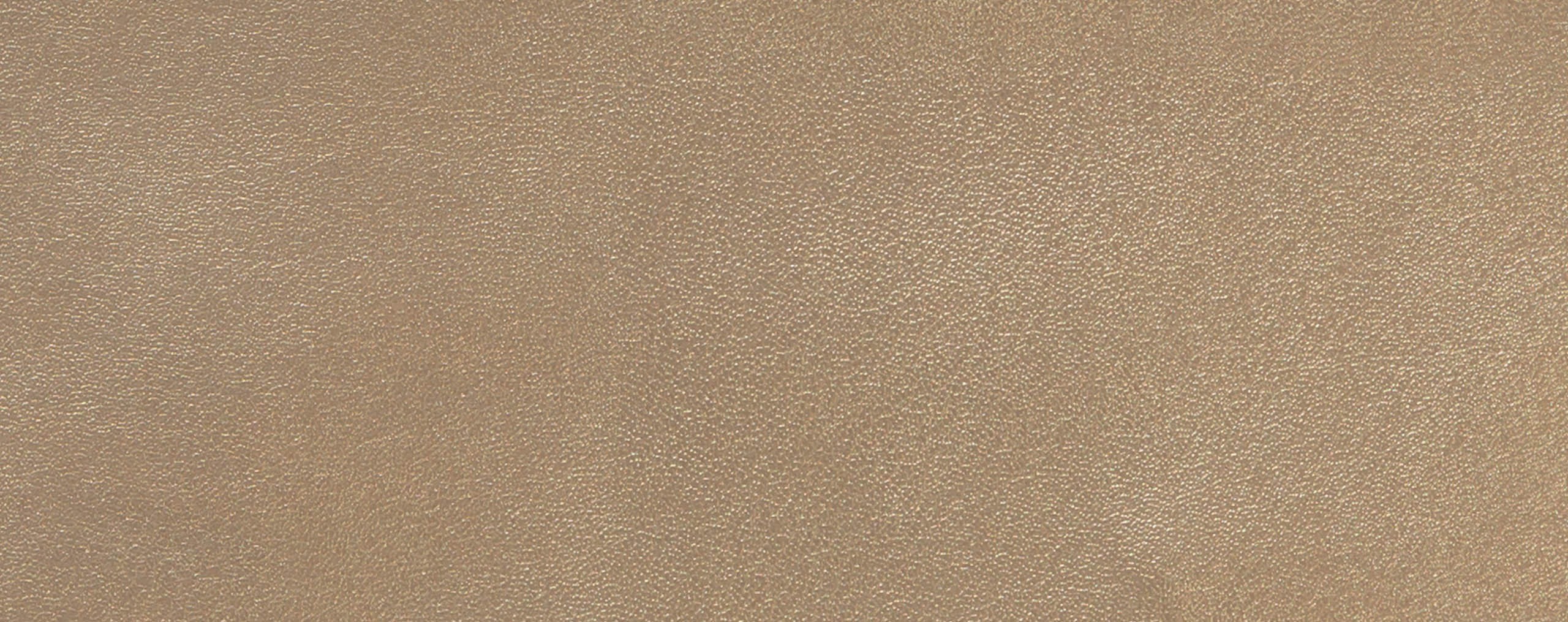 19808