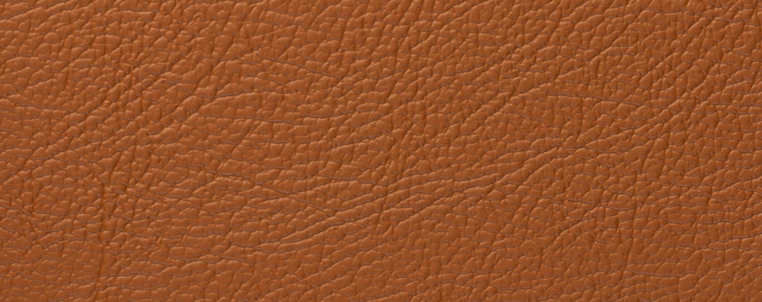 61969-2