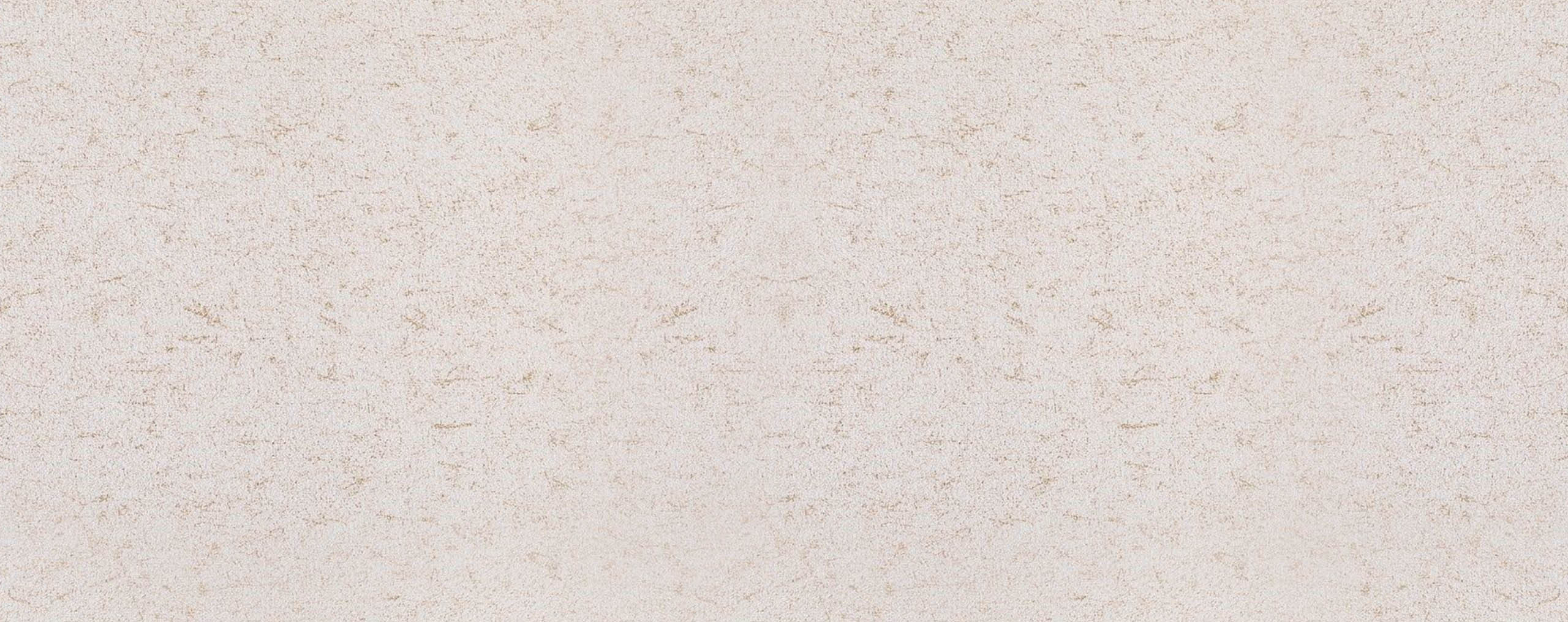 3123